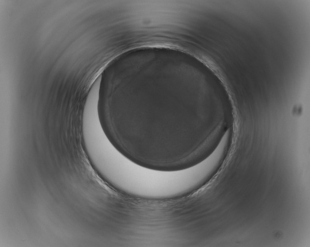 X0000114161377200911051455