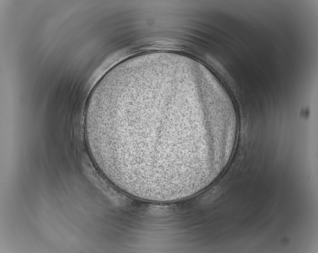 X0000114161378200911051455