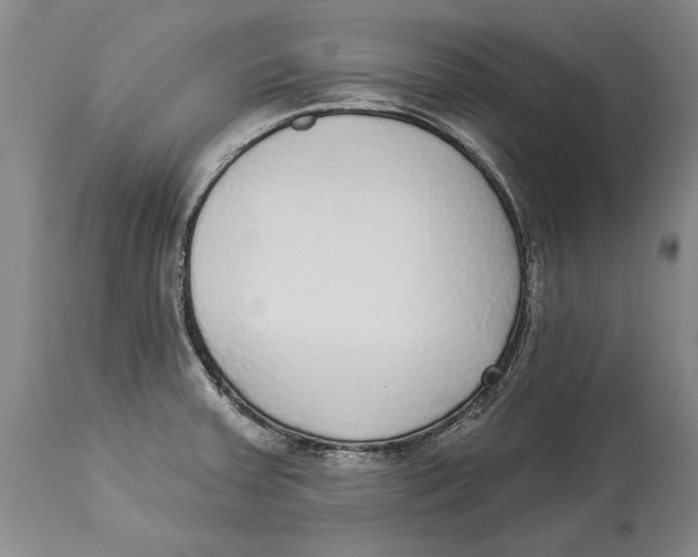 X0000114161379200911051455