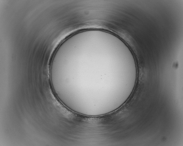 X0000114161380200911051455