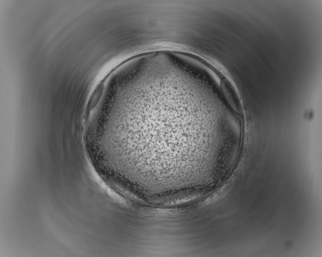 X0000114161381200911051455