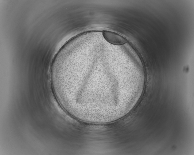 X0000114161382200911051455