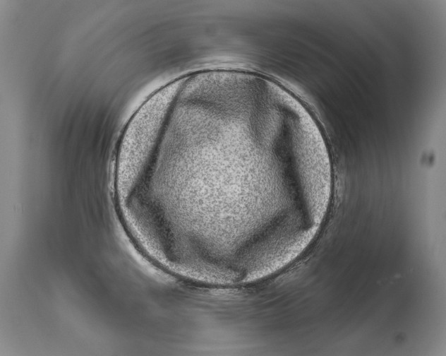 X0000114161383200911051455