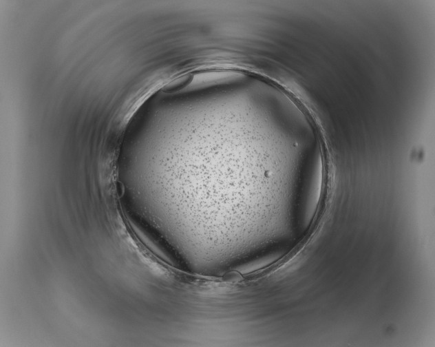 X0000114161385200911051455