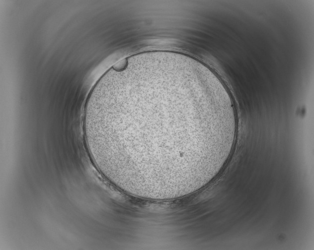 X0000114161386200911051455