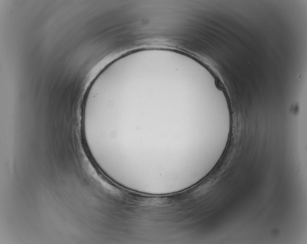 X0000114161387200911051455