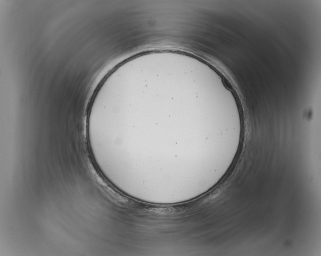 X0000114161388200911051455