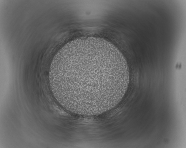 X0000114161393200911051454