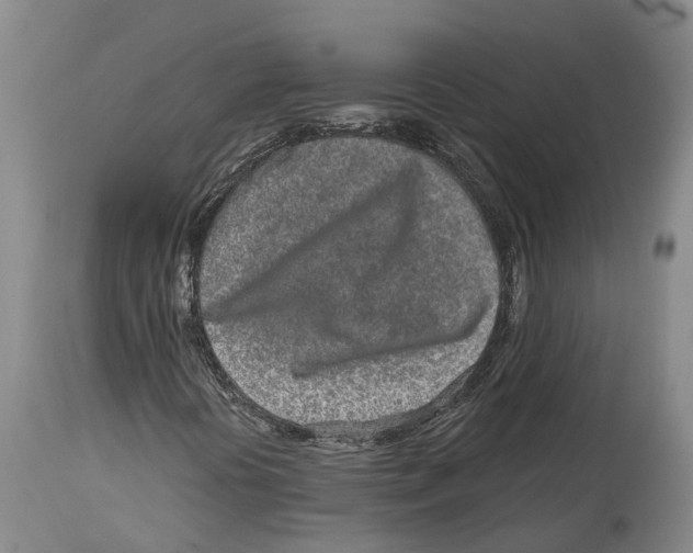 X0000114161394200911051454