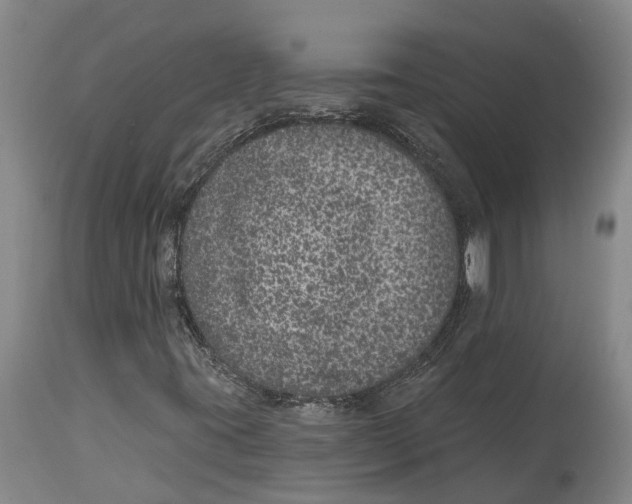 X0000114161395200911051454