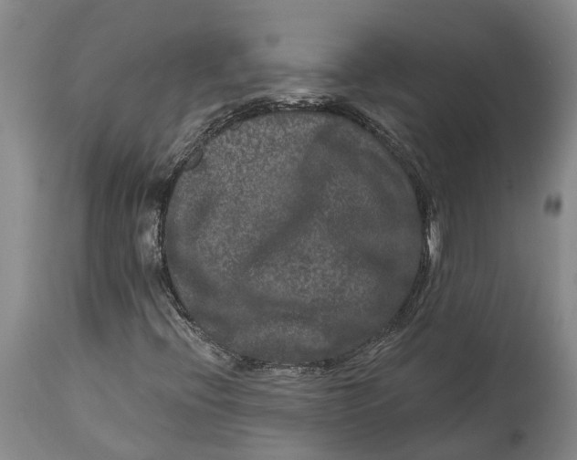 X0000114161396200911051454