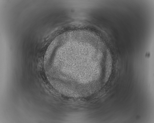 X0000114161397200911051454