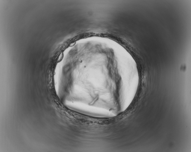 X0000114161398200911051454