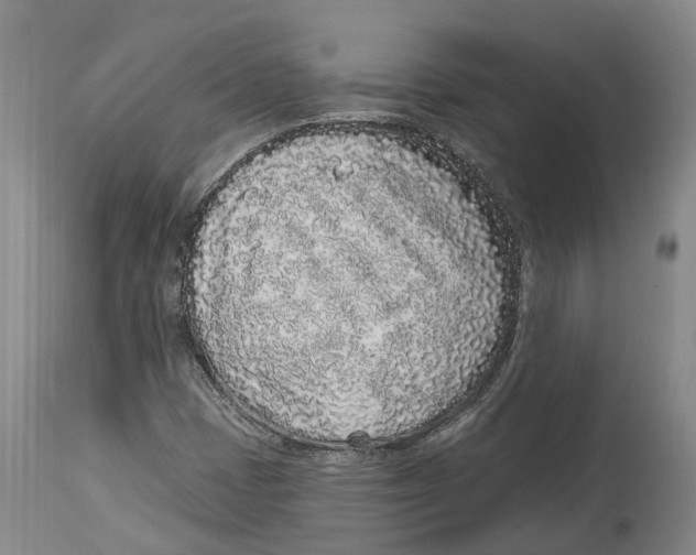 X0000114161401200911051454