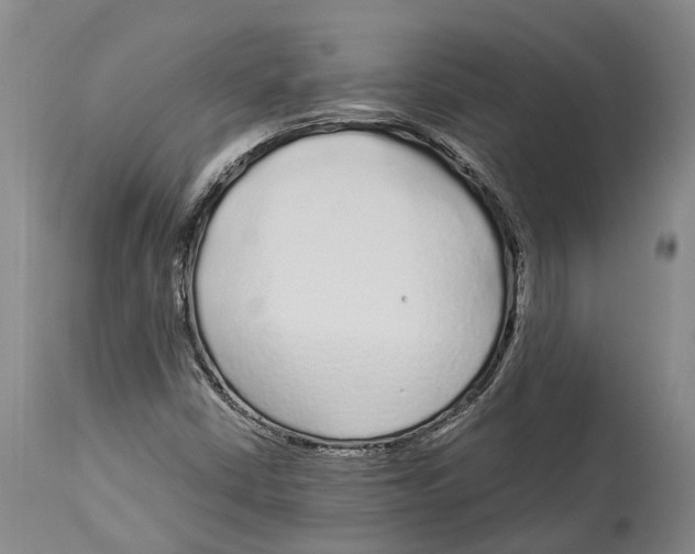 X0000114161402200911051454