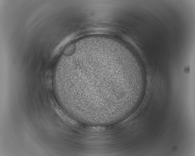 X0000114161403200911051454