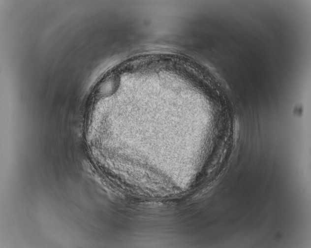 X0000114161405200911051454