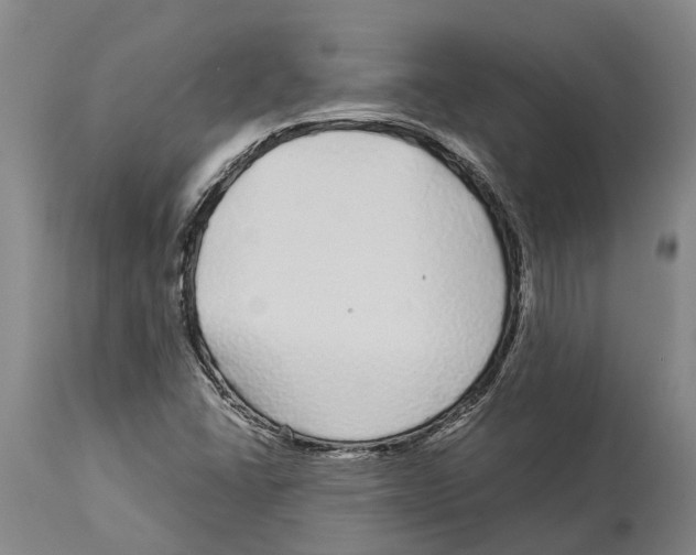 X0000114161406200911051454