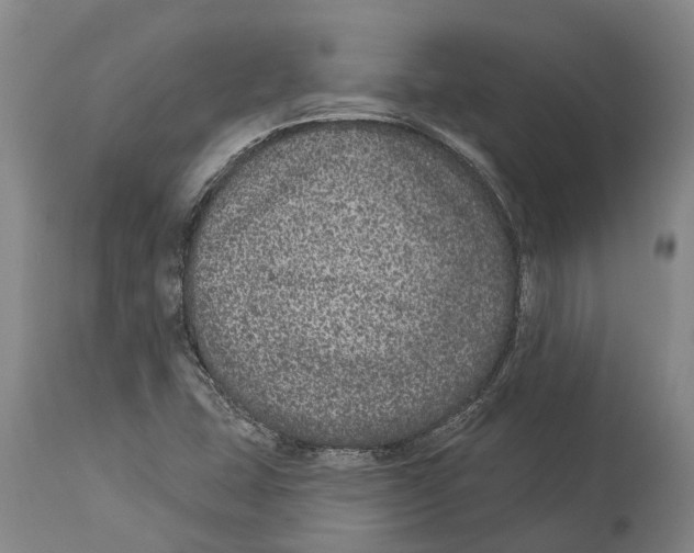 X0000114161407200911051454