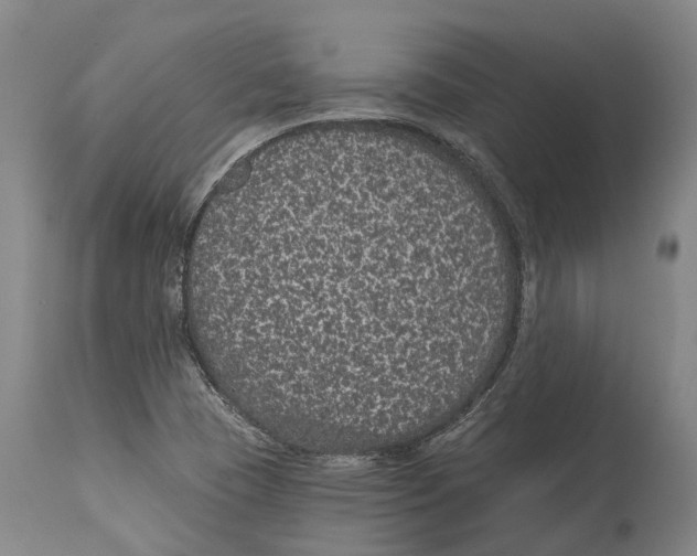 X0000114161409200911051454