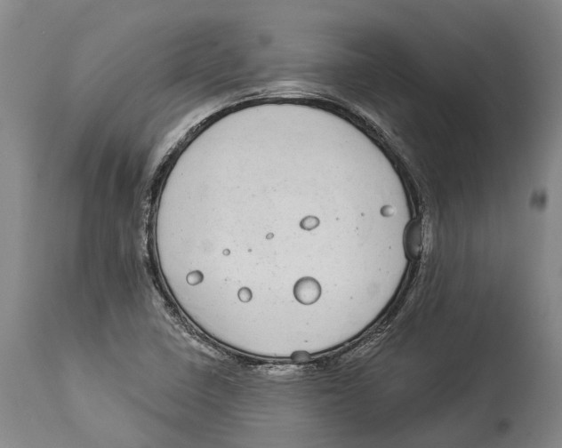 X0000114161410200911051454