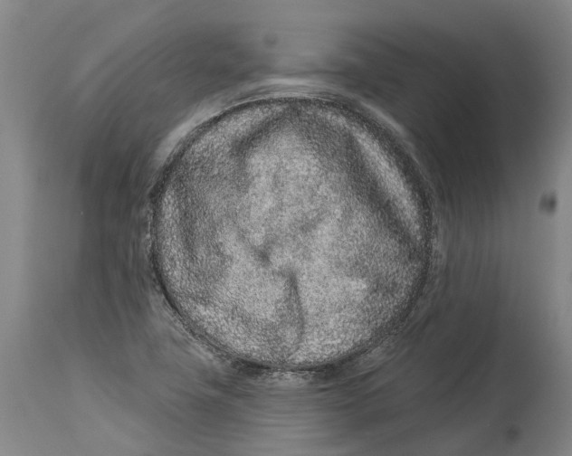 X0000114161411200911051454