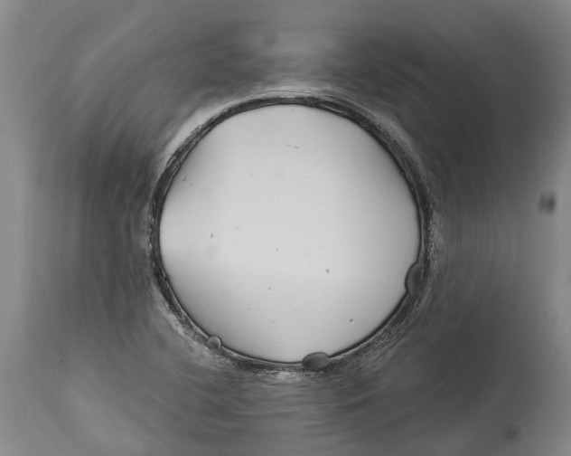 X0000114161412200911051454