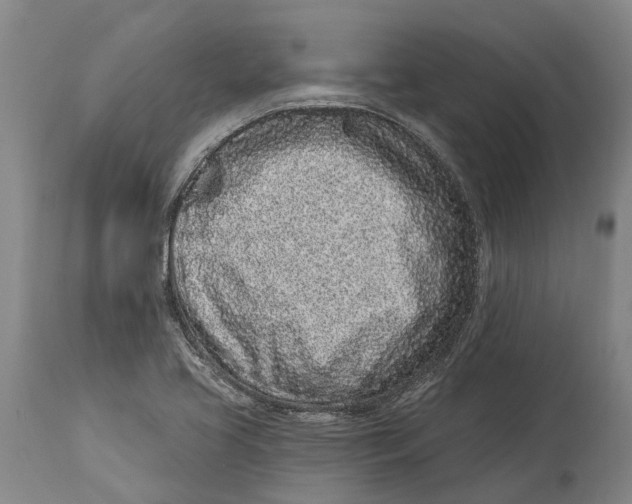 X0000114161413200911051454