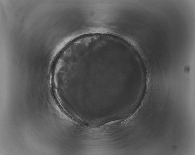 X0000114161414200911051454