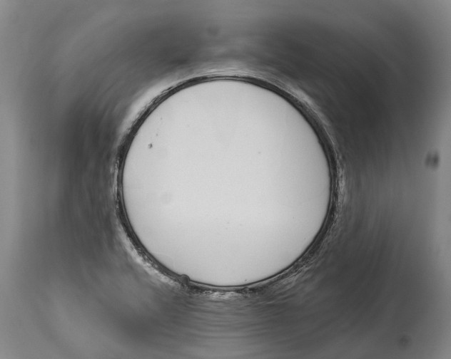 X0000114161416200911051454