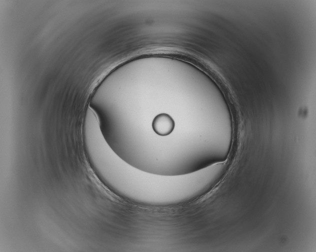 X0000114161417200911051454