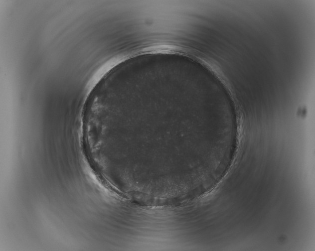 X0000114161418200911051454