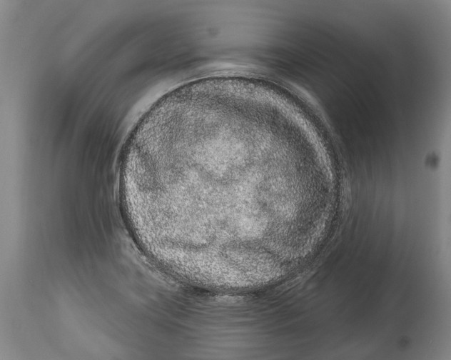 X0000114161419200911051454