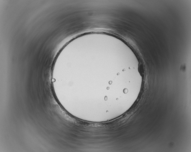 X0000114161420200911051454