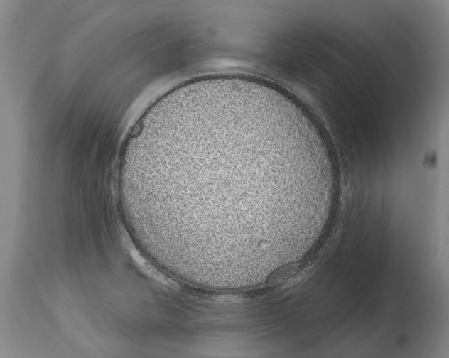 X0000114161421200911051454