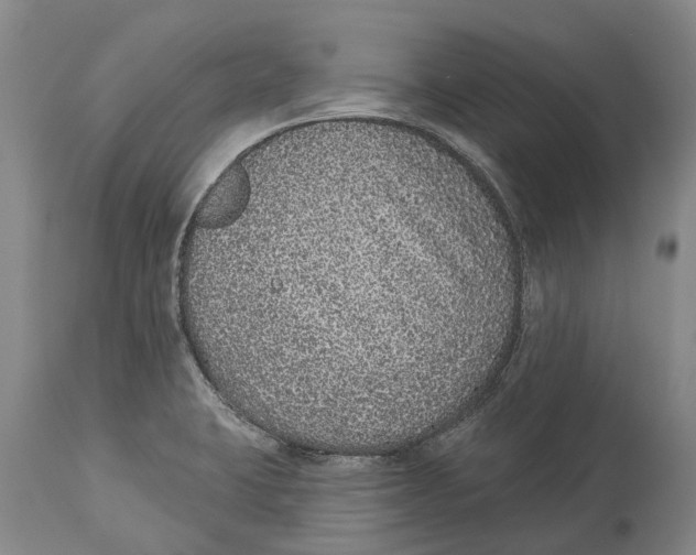 X0000114161423200911051454