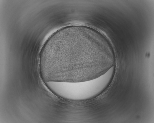 X0000114161424200911051454