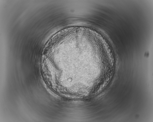 X0000114161425200911051454