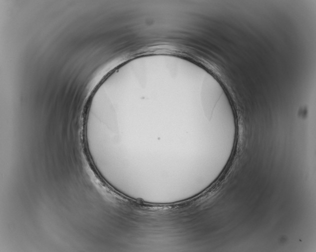 X0000114161426200911051454