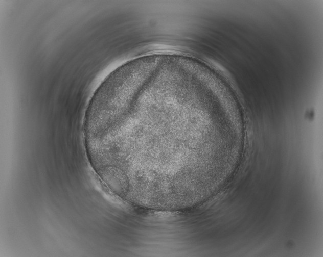 X0000114161427200911051454