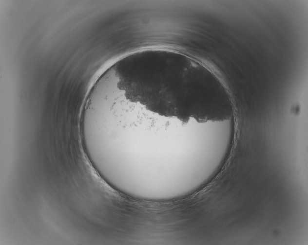 X0000114161428200911051454