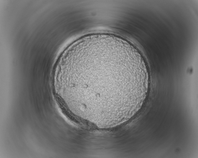 X0000114161429200911051454