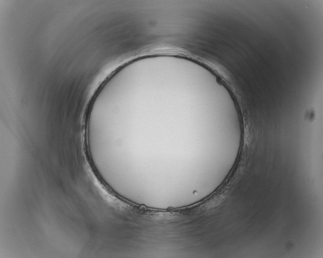 X0000114161430200911051454