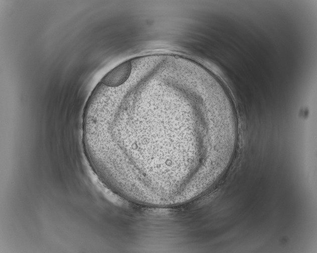 X0000114161431200911051454