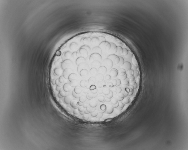 X0000114161432200911051454