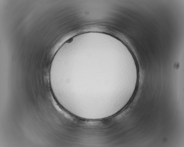 X0000114161433200911051454