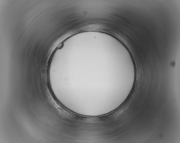 X0000114161434200911051454