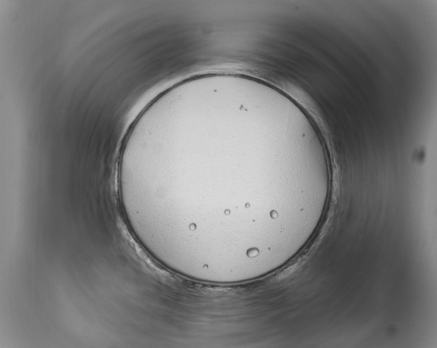 X0000114161436200911051454