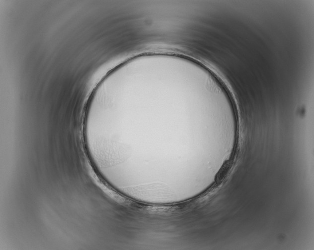 X0000114161437200911051454