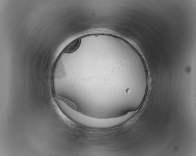 X0000114161438200911051454